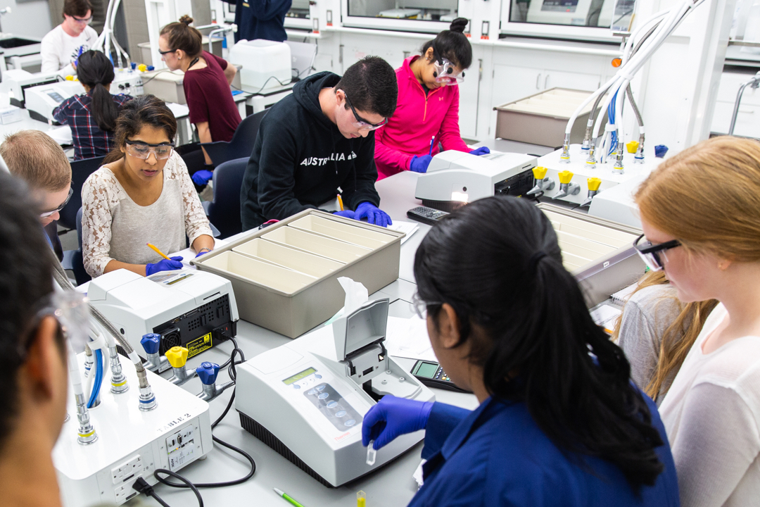 From left to right, two students in a science lab, four students walking in Kogan Plaza, and three students looking at a computer.